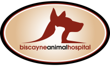 Biscayne Animal Hospital